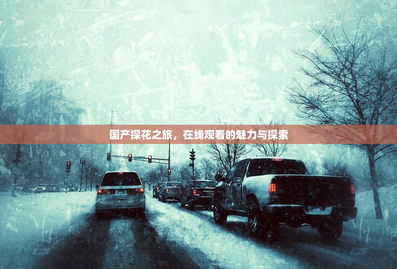 国产探花之旅，在线观看的魅力与探索