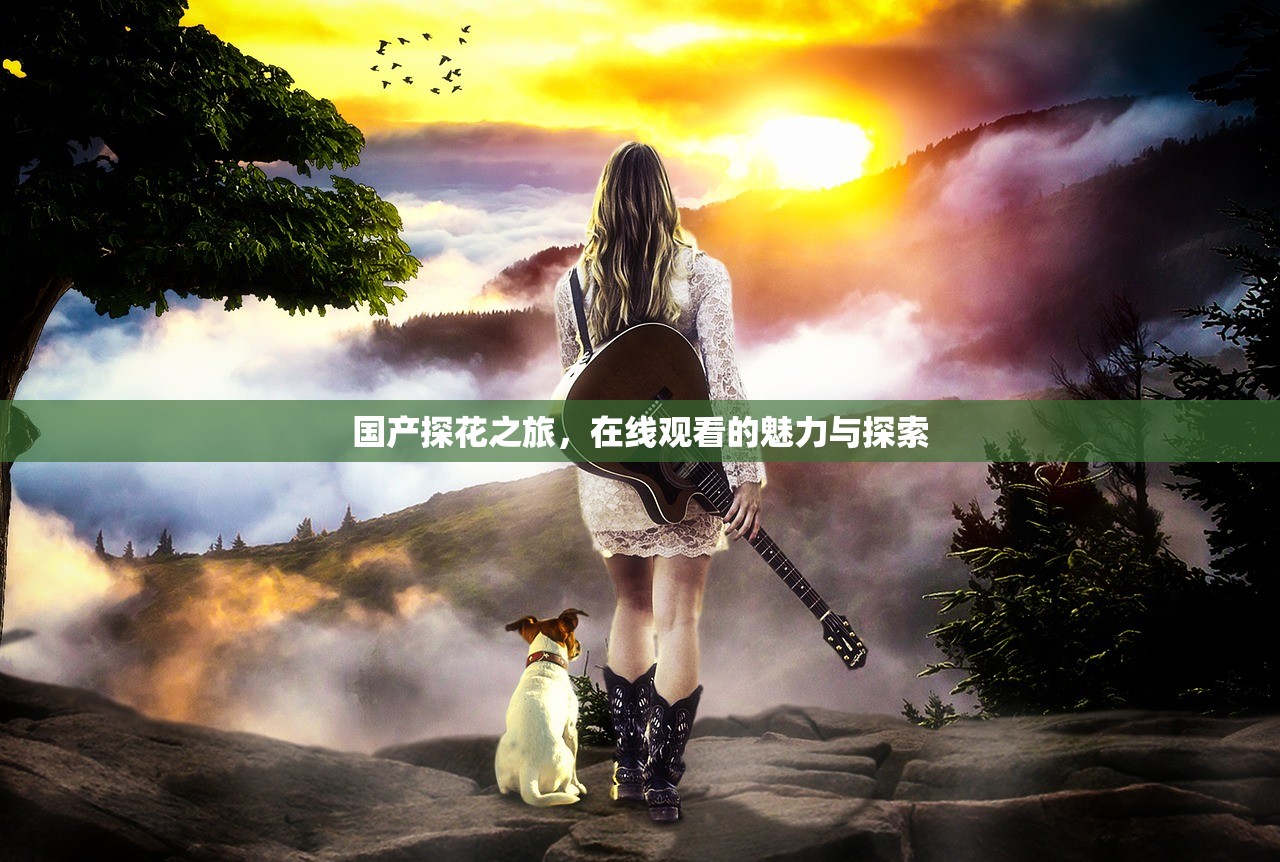国产探花之旅，在线观看的魅力与探索