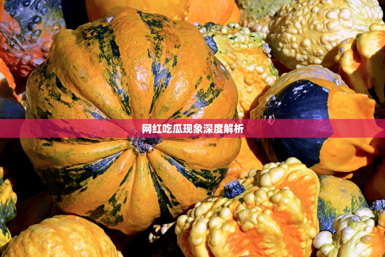 网红吃瓜现象深度解析