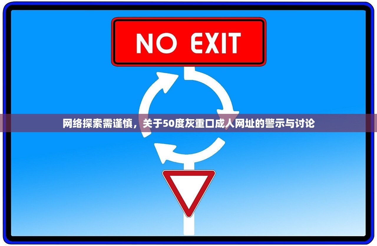 网络探索需谨慎，关于50度灰重口成人网址的警示与讨论