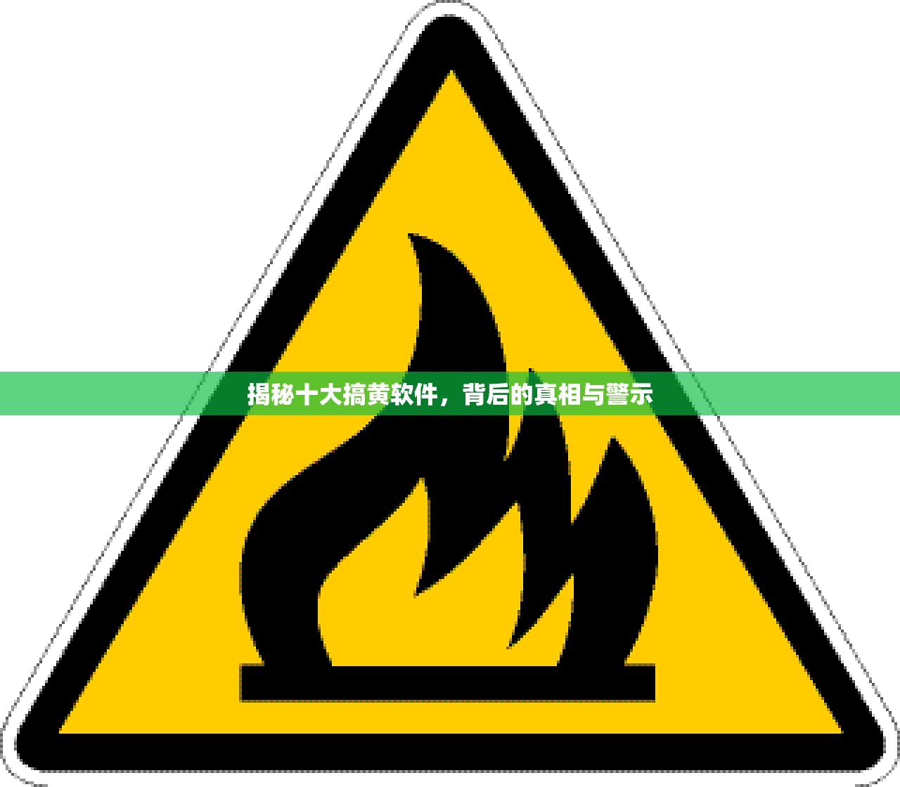 揭秘十大搞黄软件，背后的真相与警示