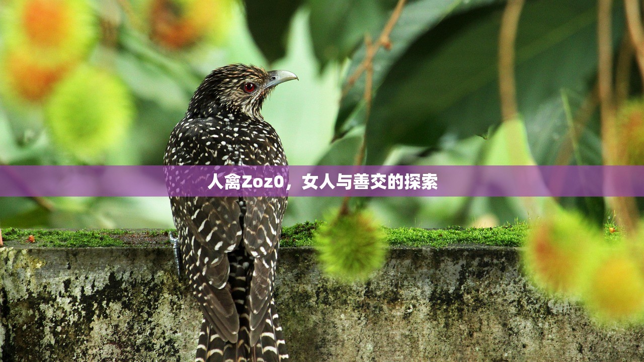 人禽Zoz0，女人与善交的探索