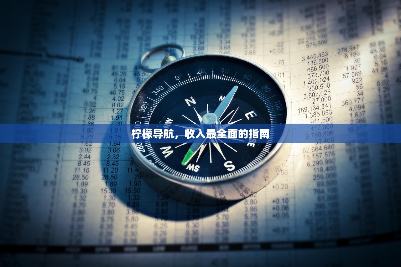柠檬导航，收入最全面的指南