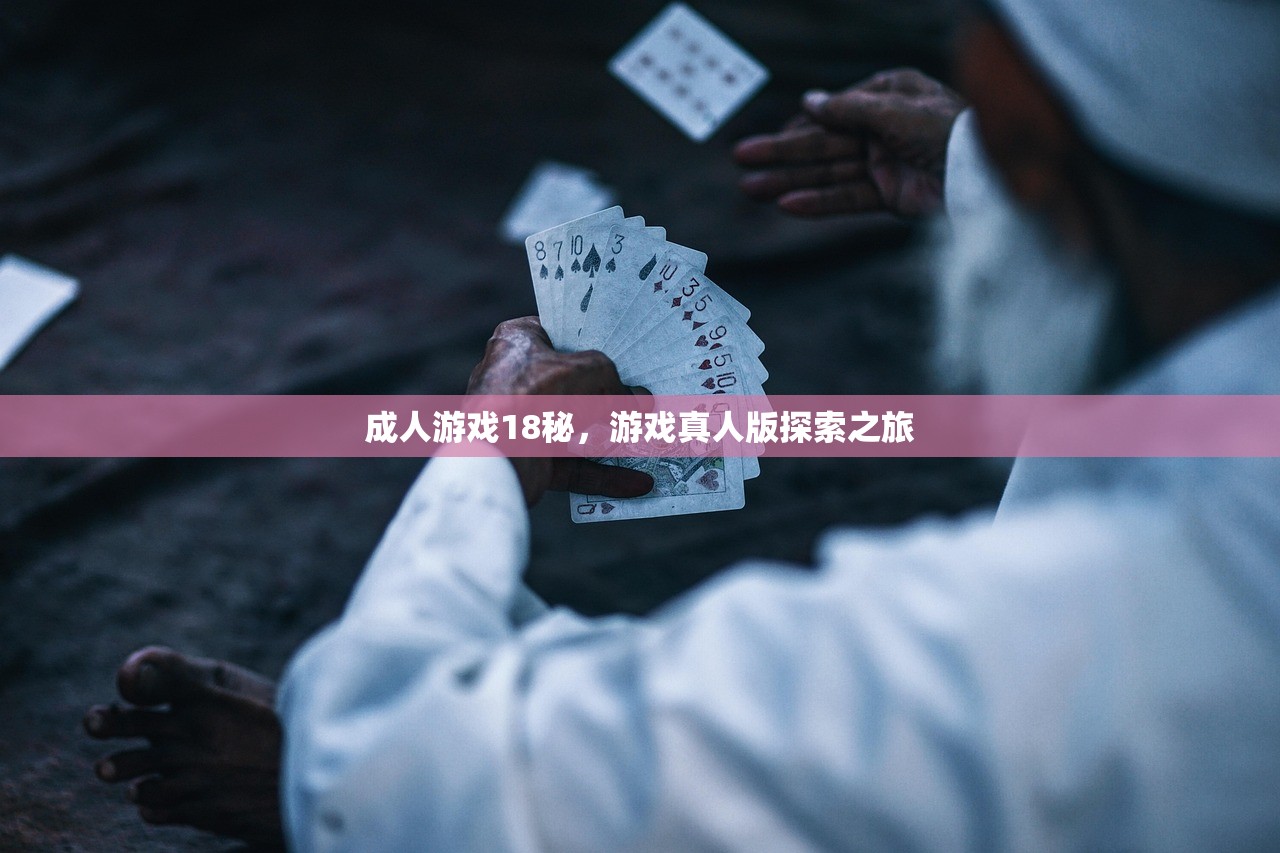 成人游戏18秘，游戏真人版探索之旅