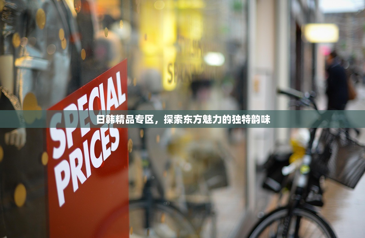 日韩精品专区，探索东方魅力的独特韵味