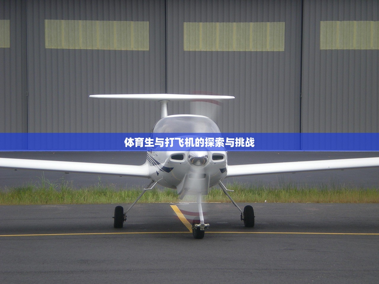 体育生与打飞机的探索与挑战