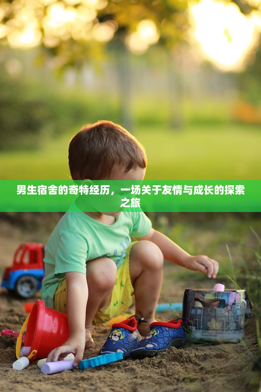 男生宿舍的奇特经历，一场关于友情与成长的探索之旅