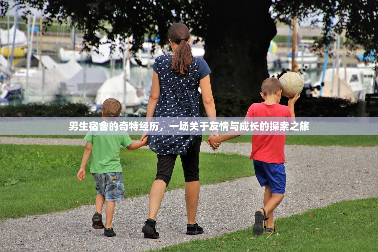 男生宿舍的奇特经历，一场关于友情与成长的探索之旅