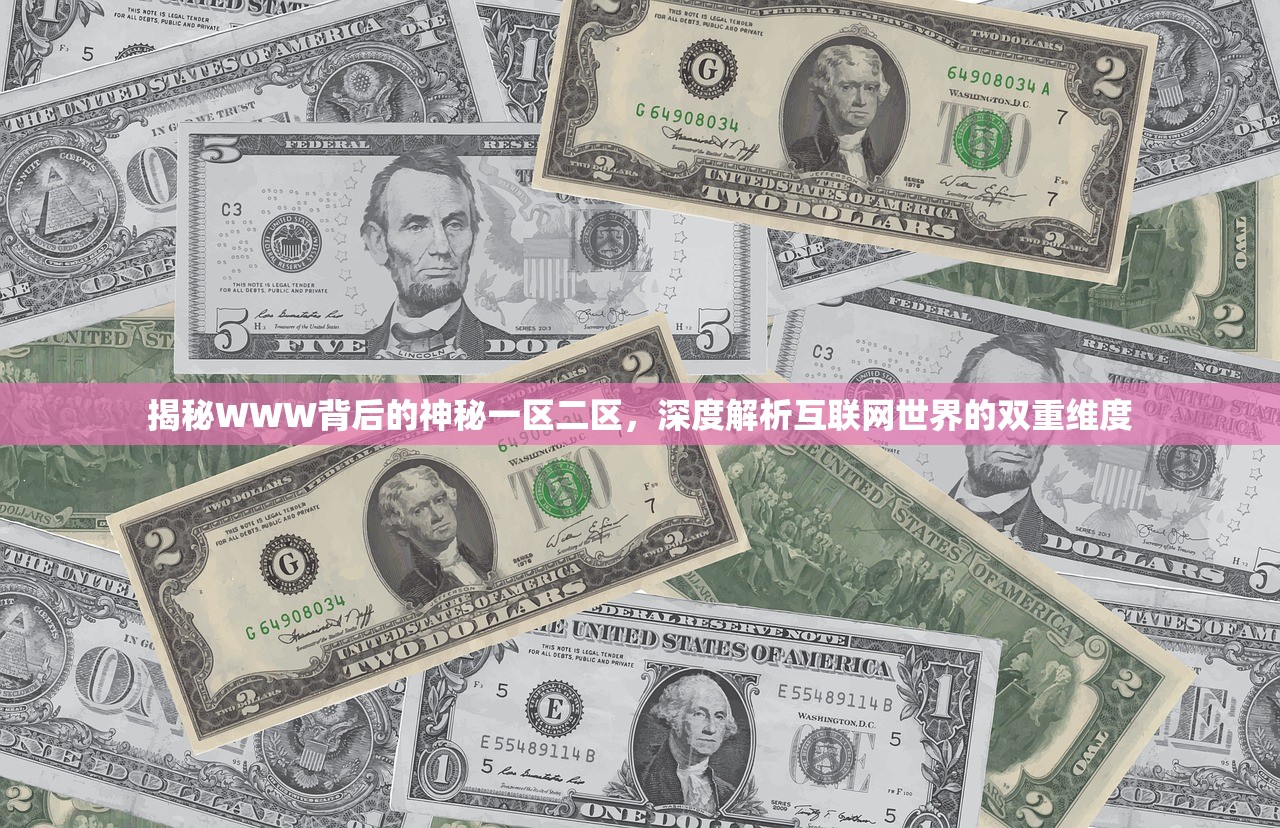 揭秘WWW背后的神秘一区二区，深度解析互联网世界的双重维度