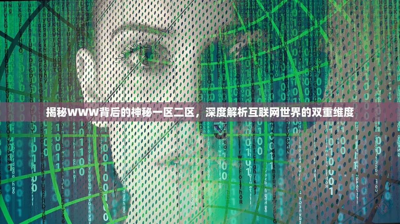 揭秘WWW背后的神秘一区二区，深度解析互联网世界的双重维度