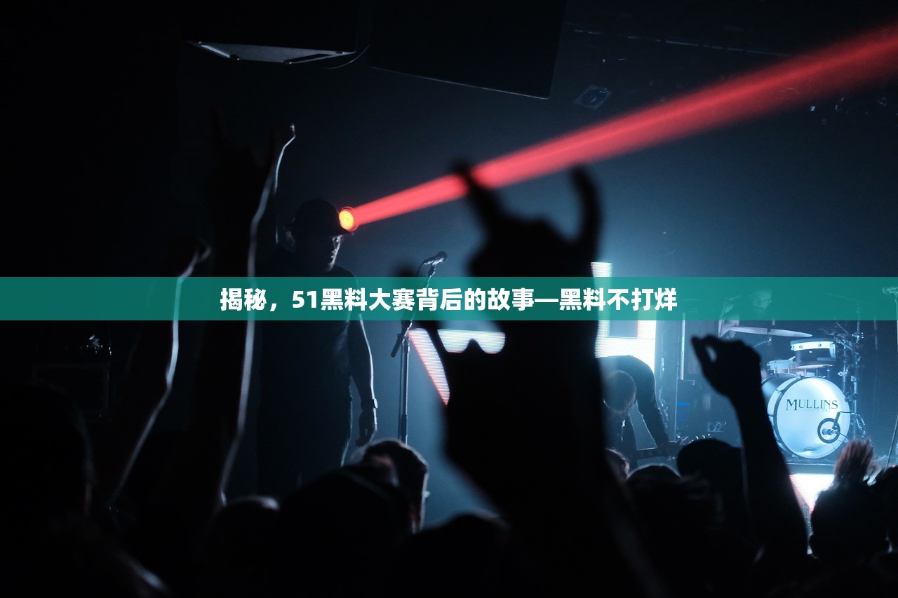 揭秘，51黑料大赛背后的故事—黑料不打烊