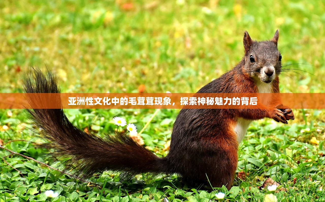 亚洲性文化中的毛茸茸现象，探索神秘魅力的背后
