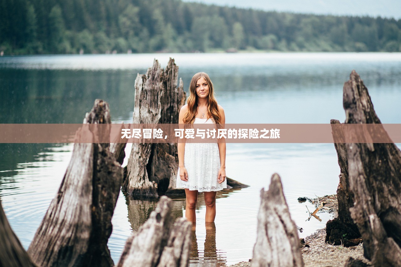 无尽冒险，可爱与讨厌的探险之旅