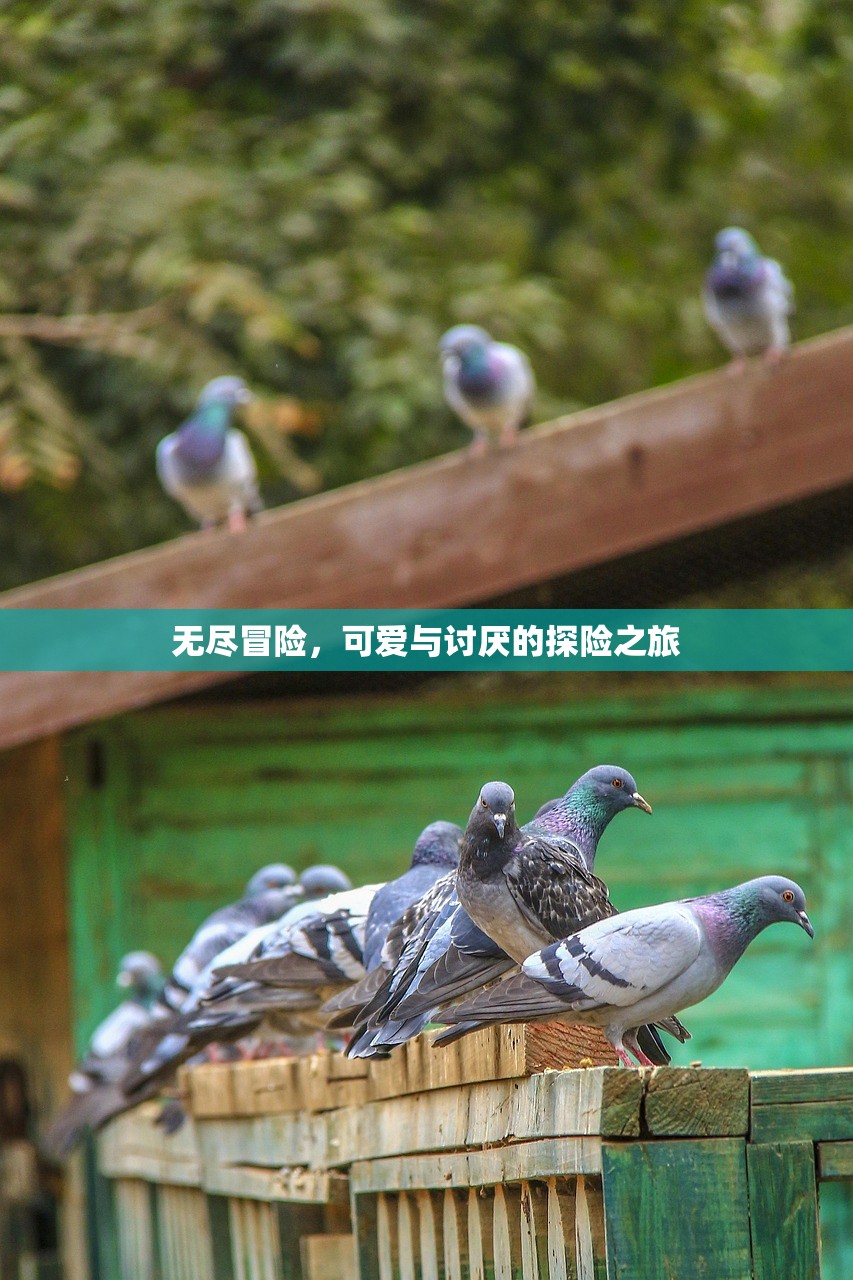 无尽冒险，可爱与讨厌的探险之旅