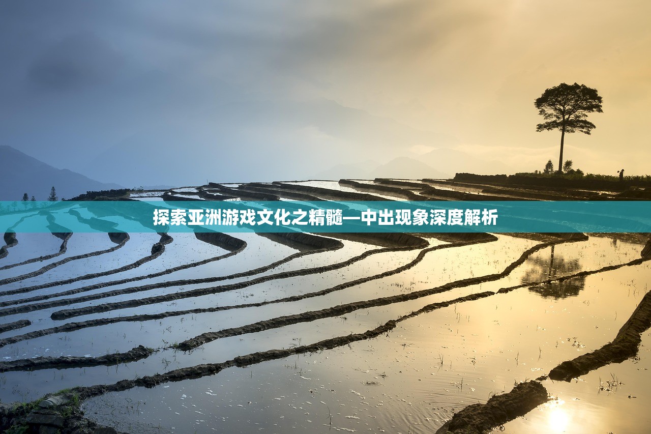 探索亚洲游戏文化之精髓—中出现象深度解析