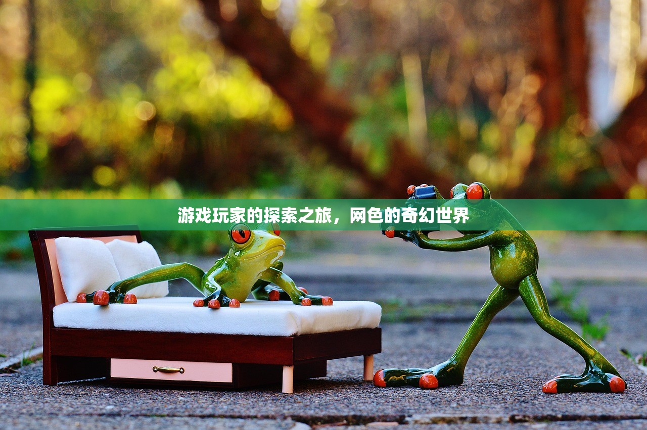 游戏玩家的探索之旅，网色的奇幻世界