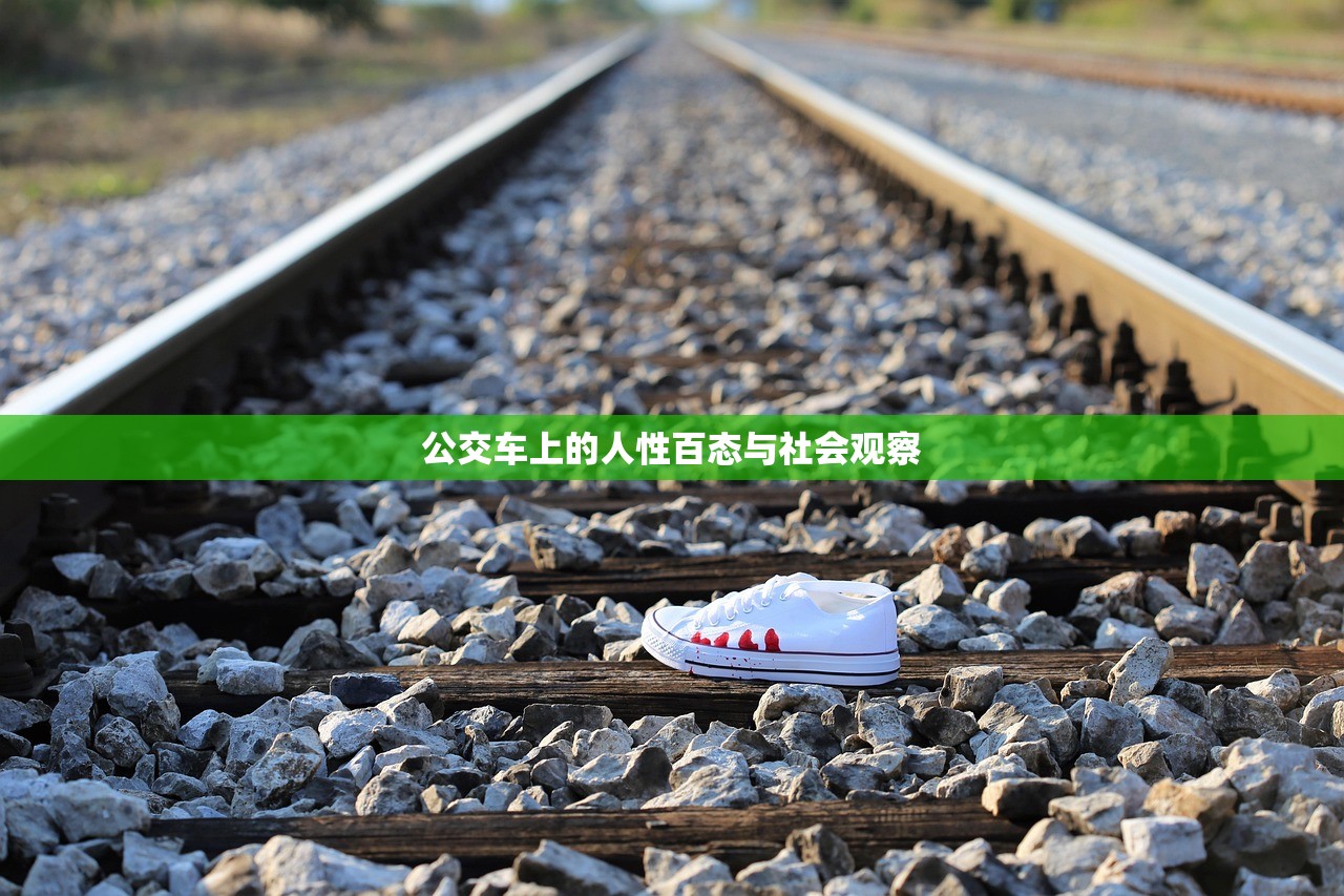 公交车上的人性百态与社会观察