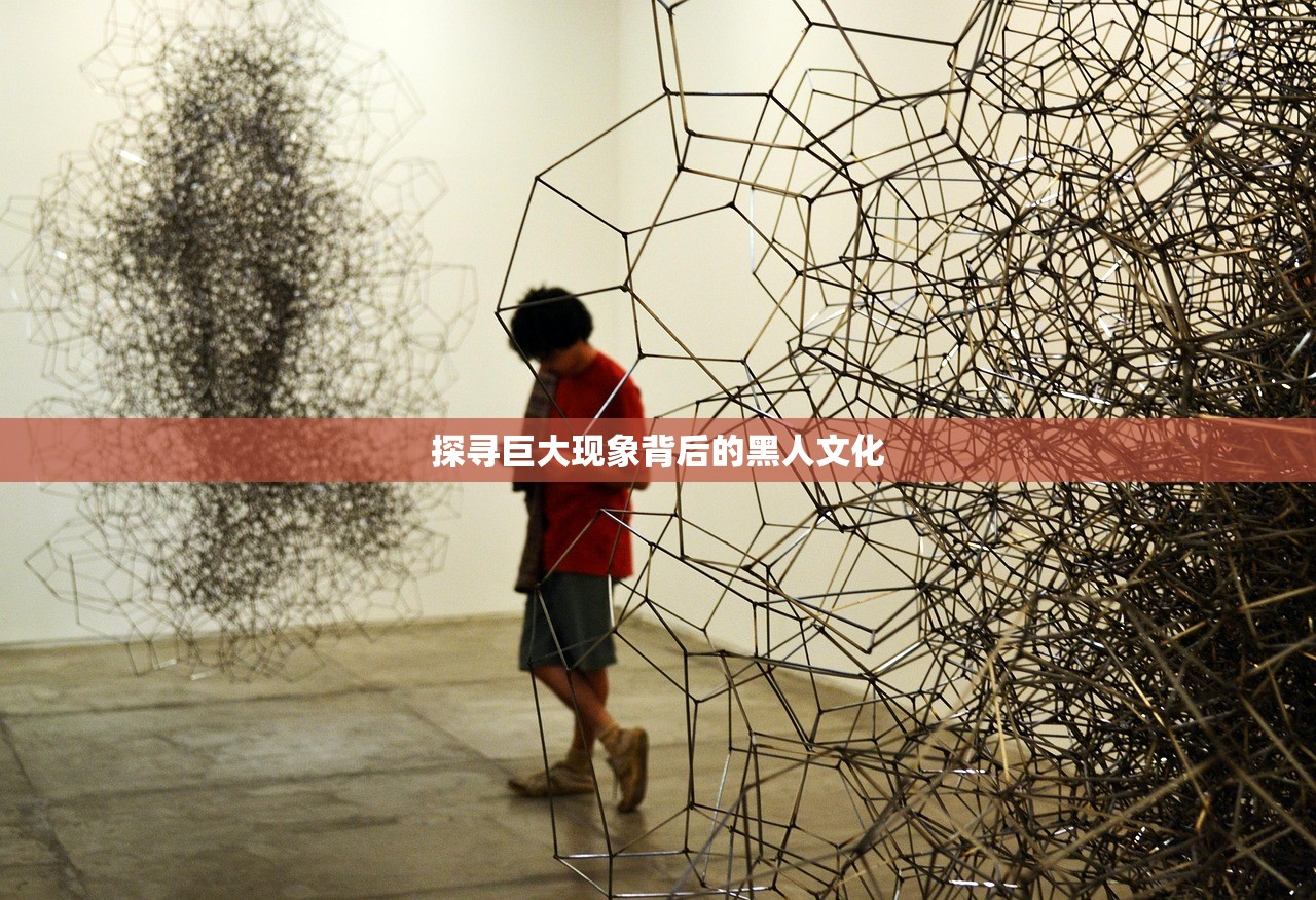 探寻巨大现象背后的黑人文化