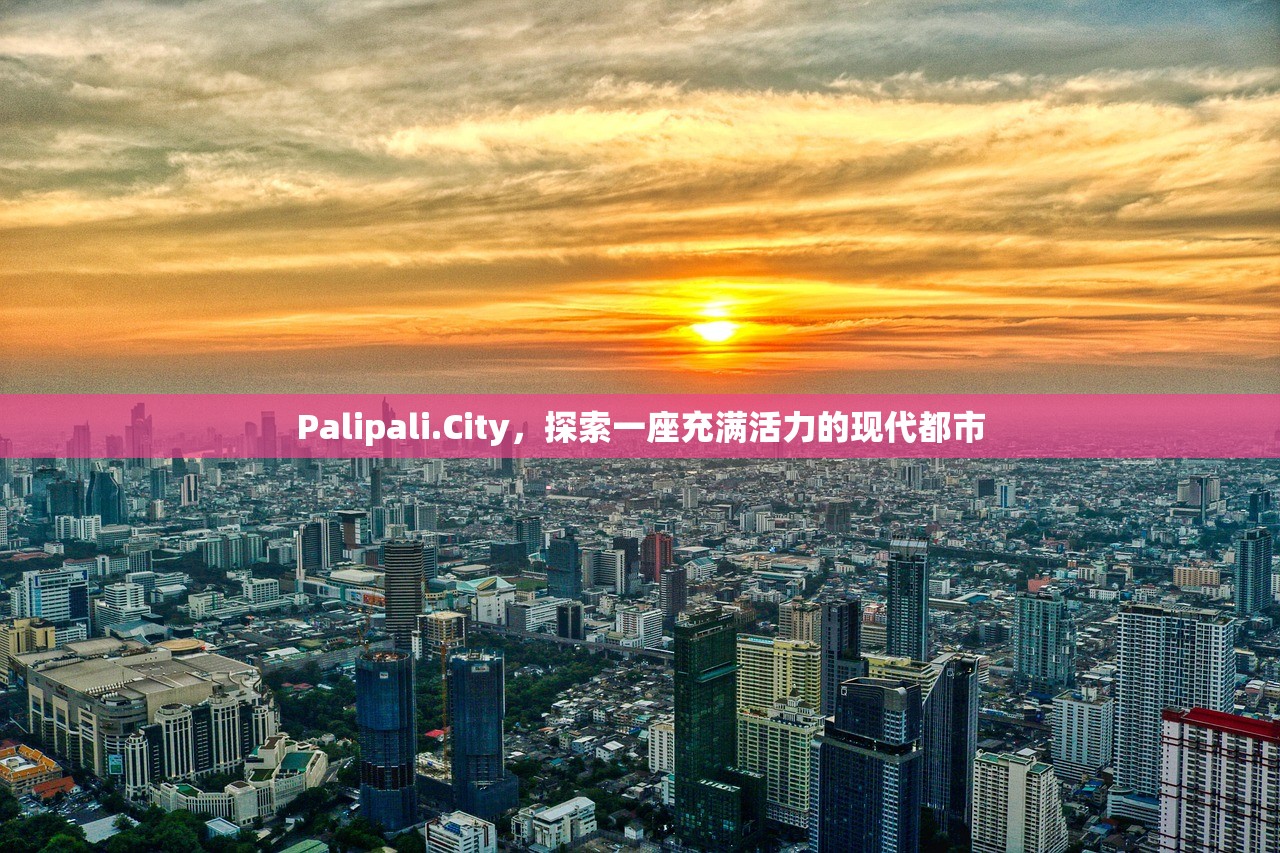 Palipali.City，探索一座充满活力的现代都市