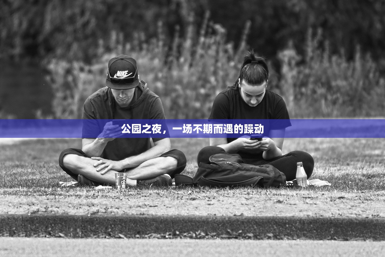 公园之夜，一场不期而遇的躁动