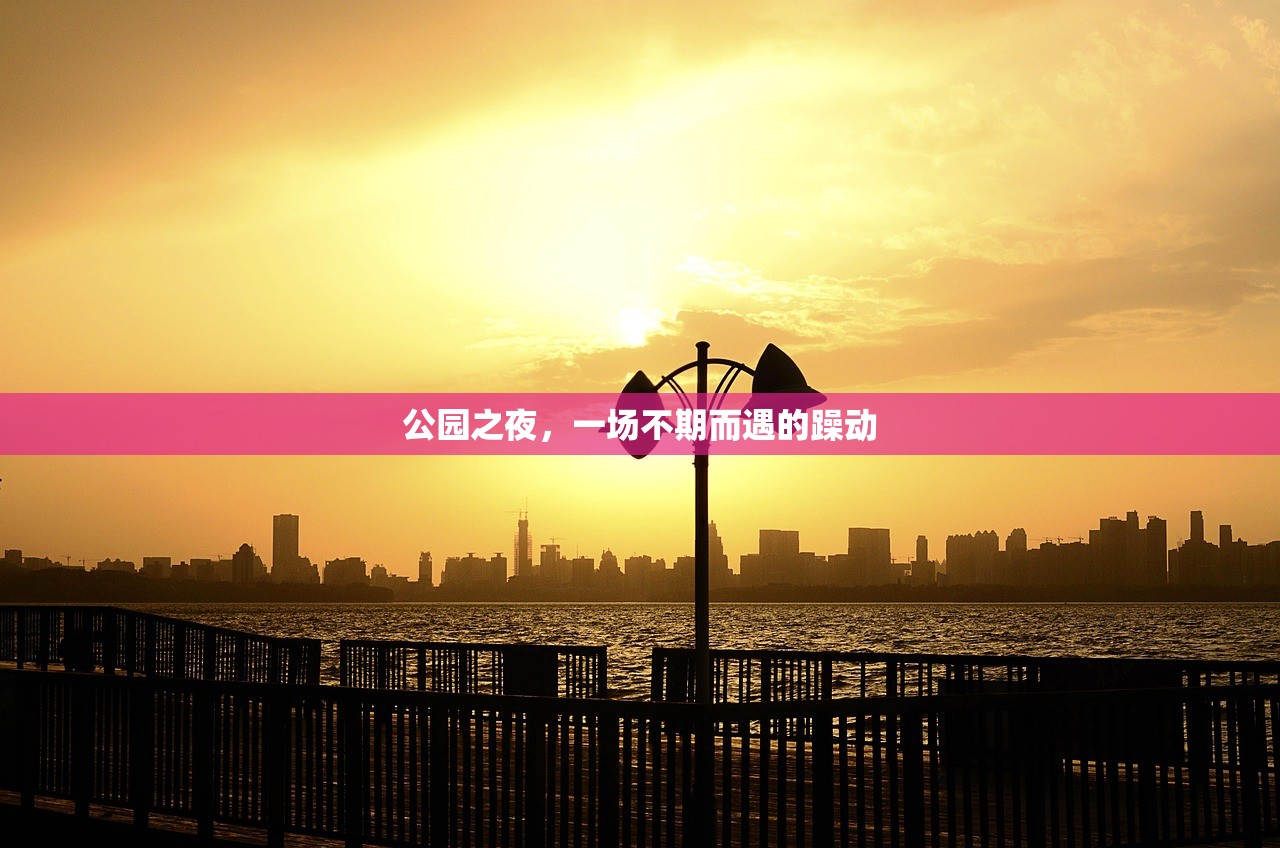 公园之夜，一场不期而遇的躁动