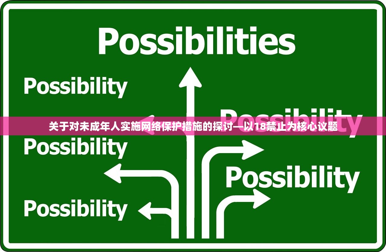 关于对未成年人实施网络保护措施的探讨—以18禁止为核心议题