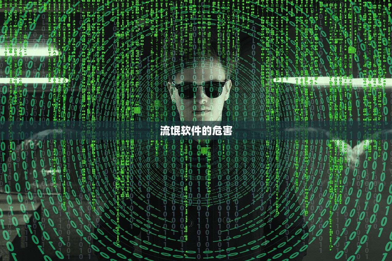 流氓软件的危害