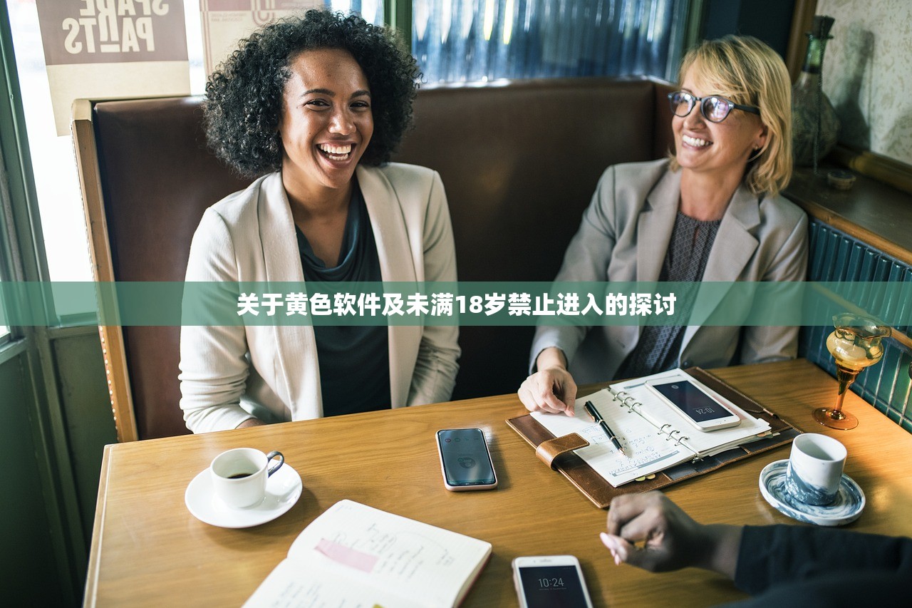 关于黄色软件及未满18岁禁止进入的探讨