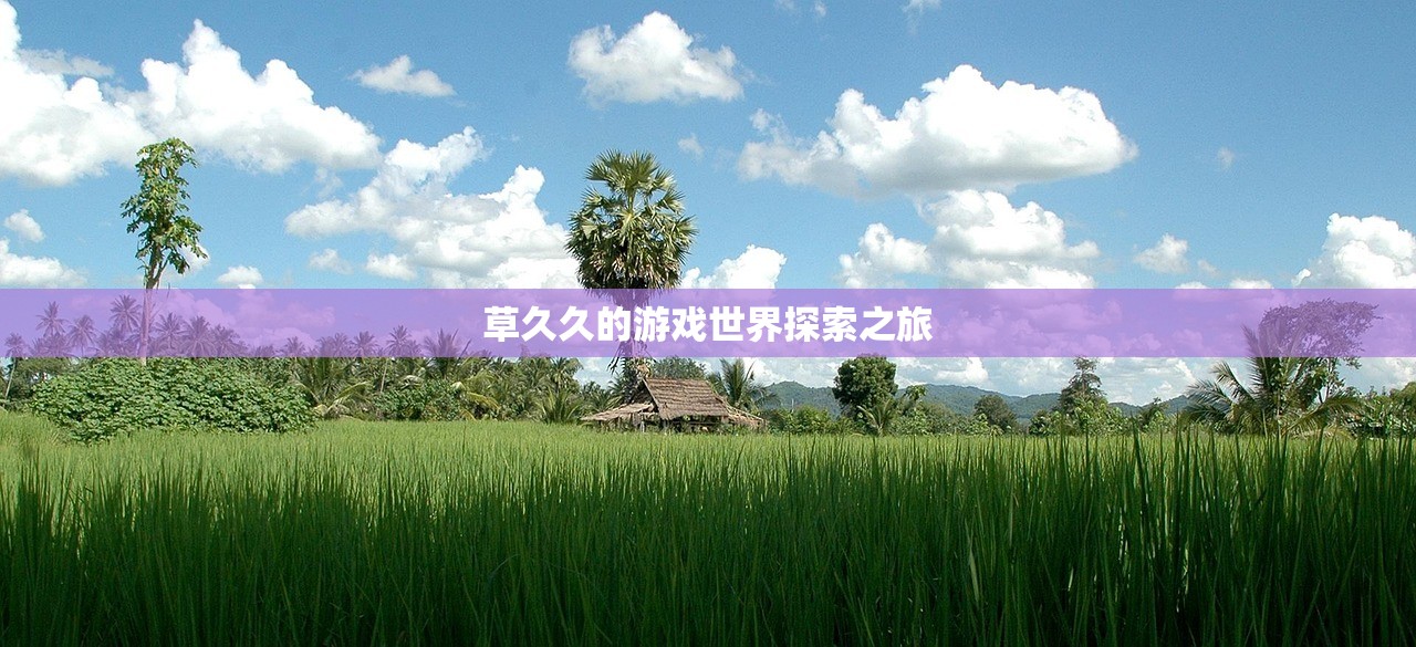 草久久的游戏世界探索之旅