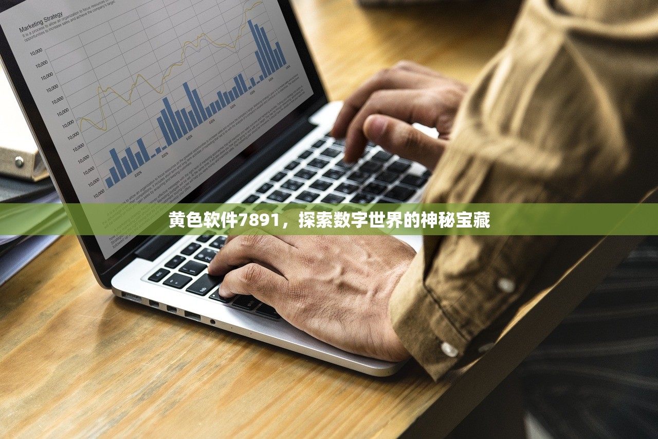 黄色软件7891，探索数字世界的神秘宝藏