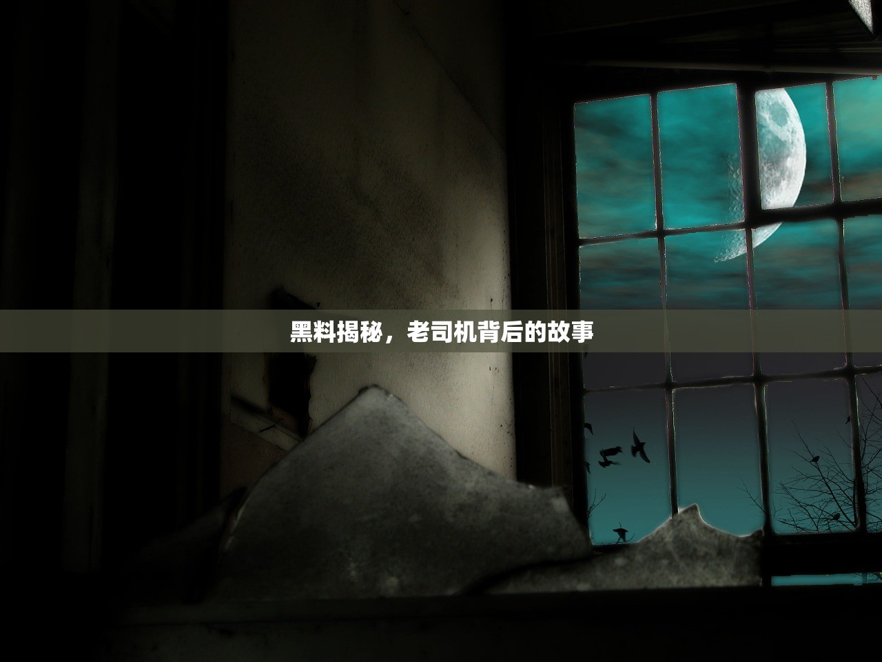 黑料揭秘，老司机背后的故事