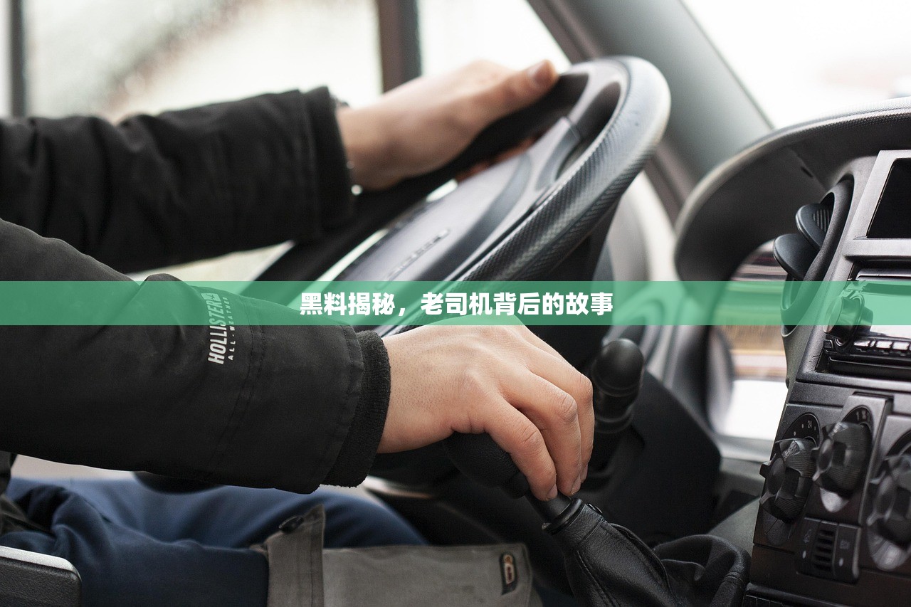 黑料揭秘，老司机背后的故事