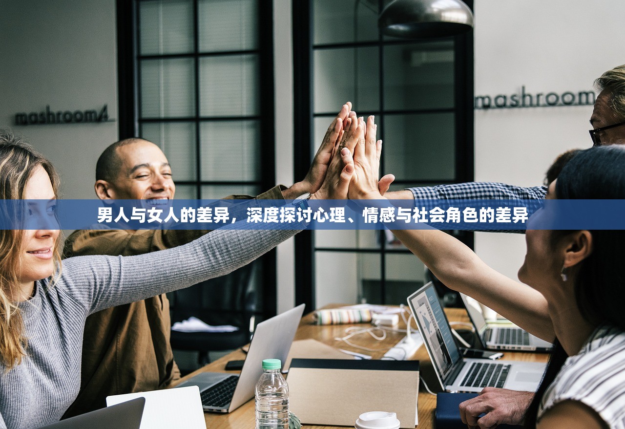 男人与女人的差异，深度探讨心理、情感与社会角色的差异