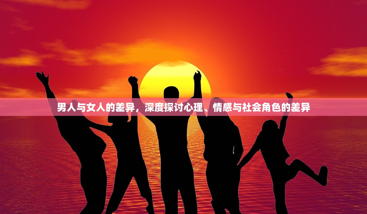 男人与女人的差异，深度探讨心理、情感与社会角色的差异