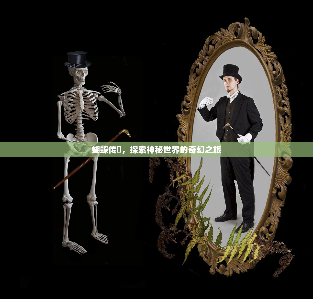 蝴蝶传禖，探索神秘世界的奇幻之旅