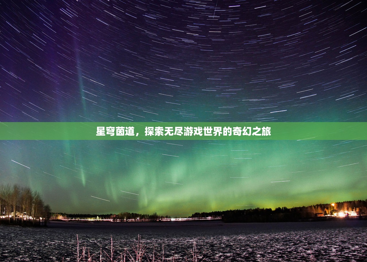 星穹茵道，探索无尽游戏世界的奇幻之旅