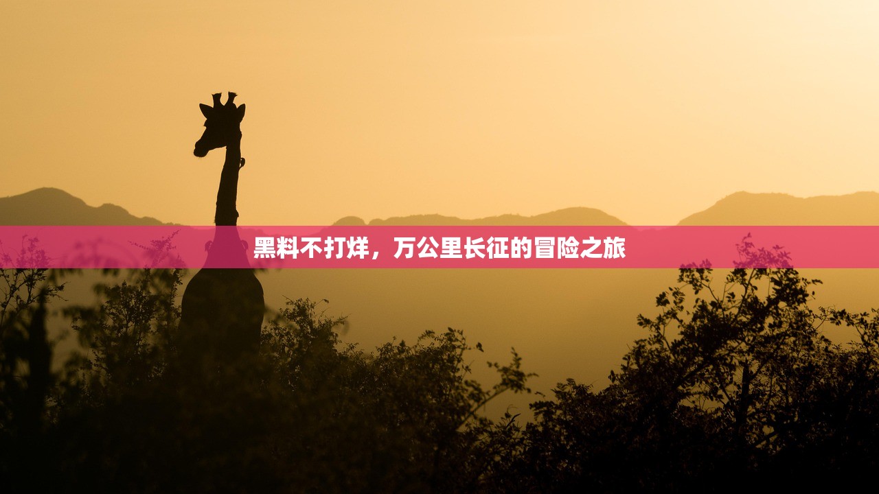 黑料不打烊，万公里长征的冒险之旅