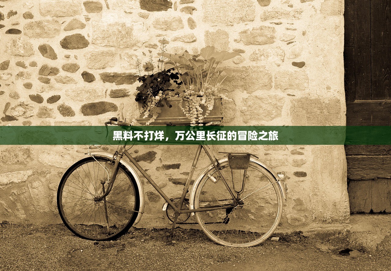 黑料不打烊，万公里长征的冒险之旅