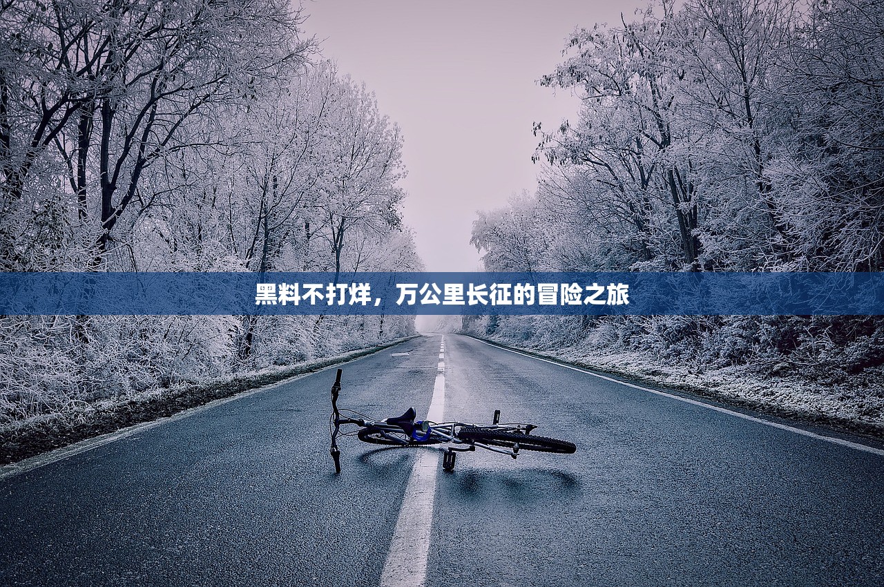 黑料不打烊，万公里长征的冒险之旅