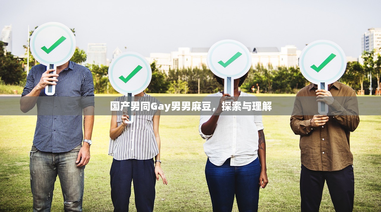 国产男同Gay男男麻豆，探索与理解