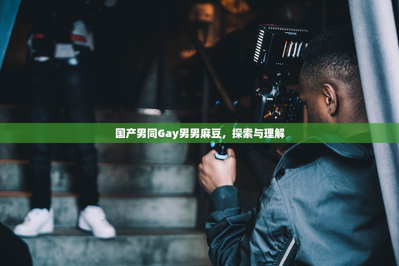 国产男同Gay男男麻豆，探索与理解