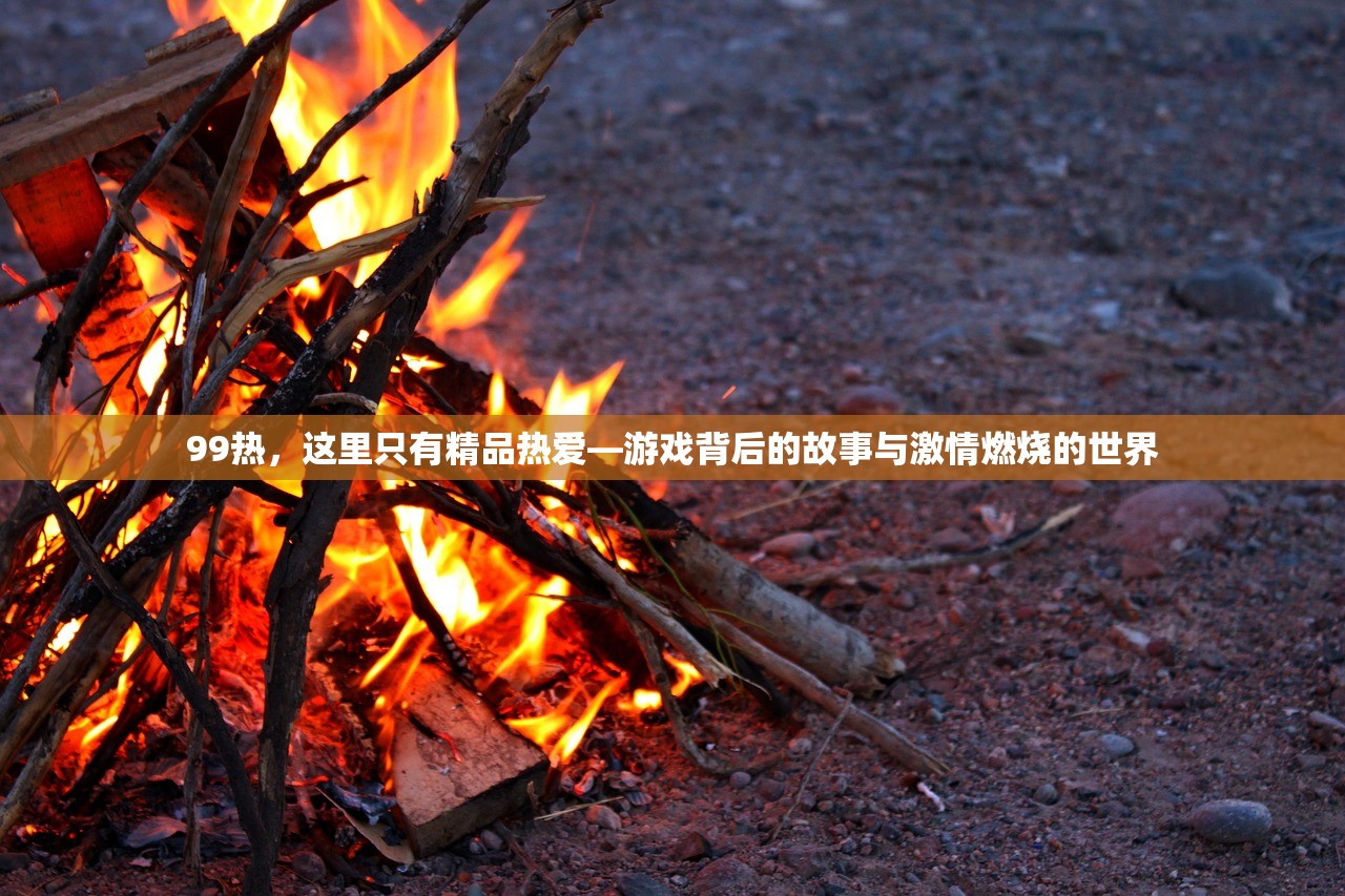 99热，这里只有精品热爱—游戏背后的故事与激情燃烧的世界