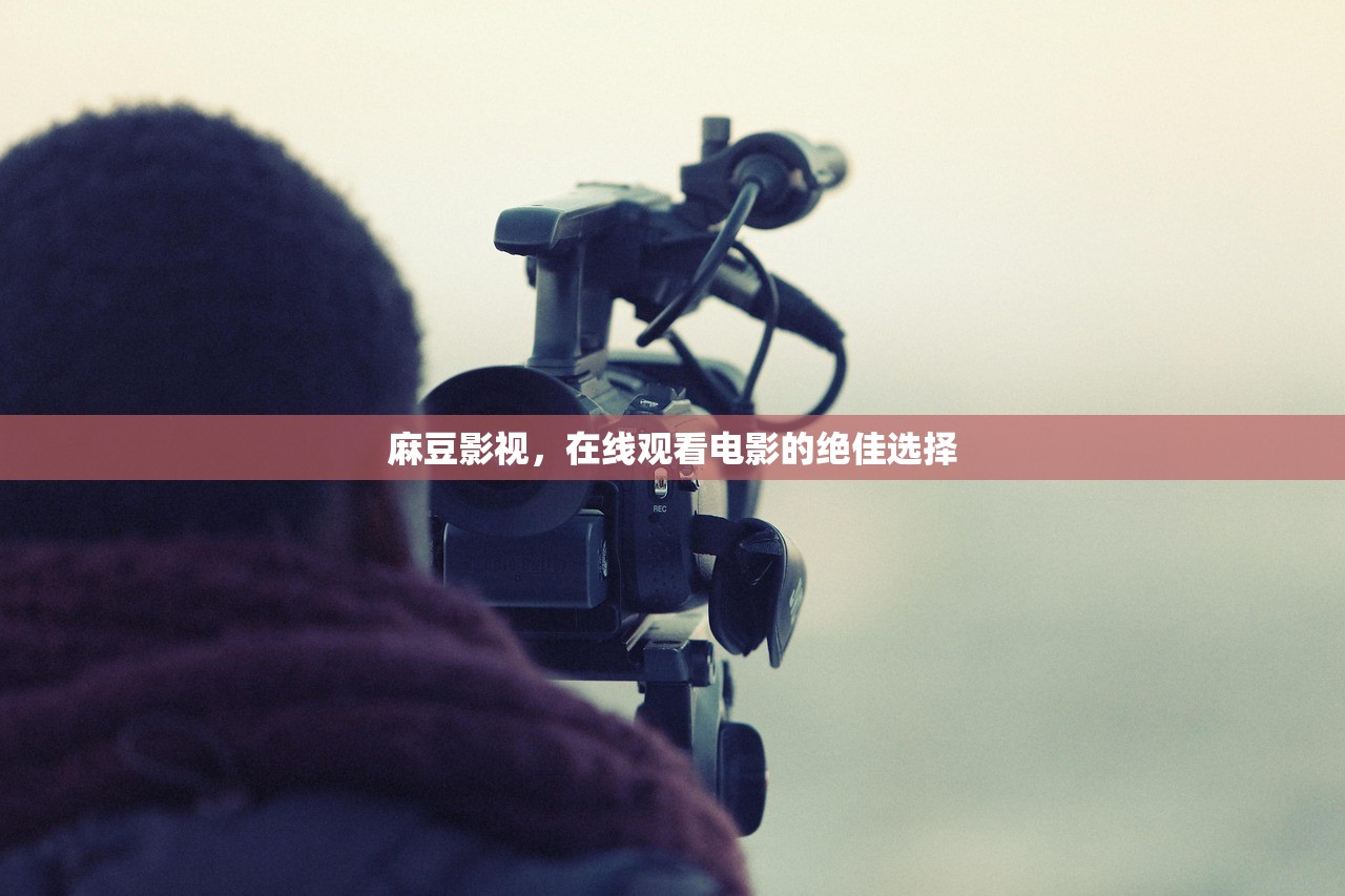 麻豆影视，在线观看电影的绝佳选择