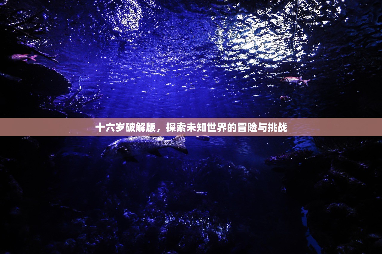 十六岁破解版，探索未知世界的冒险与挑战