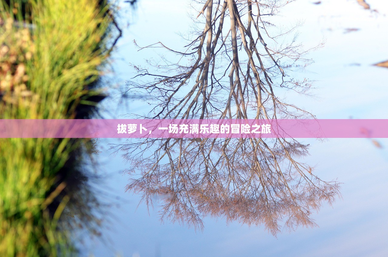 拔萝卜，一场充满乐趣的冒险之旅