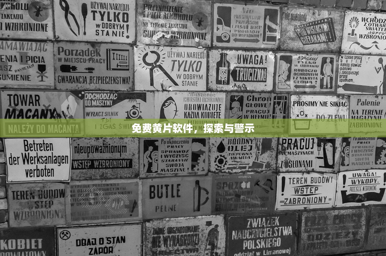免费黄片软件，探索与警示