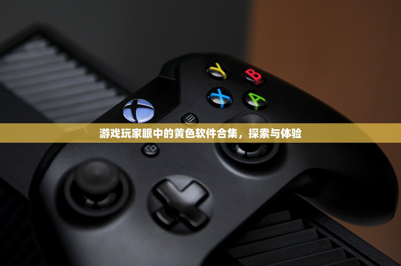游戏玩家眼中的黄色软件合集，探索与体验