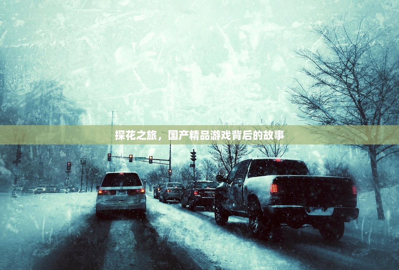 探花之旅，国产精品游戏背后的故事