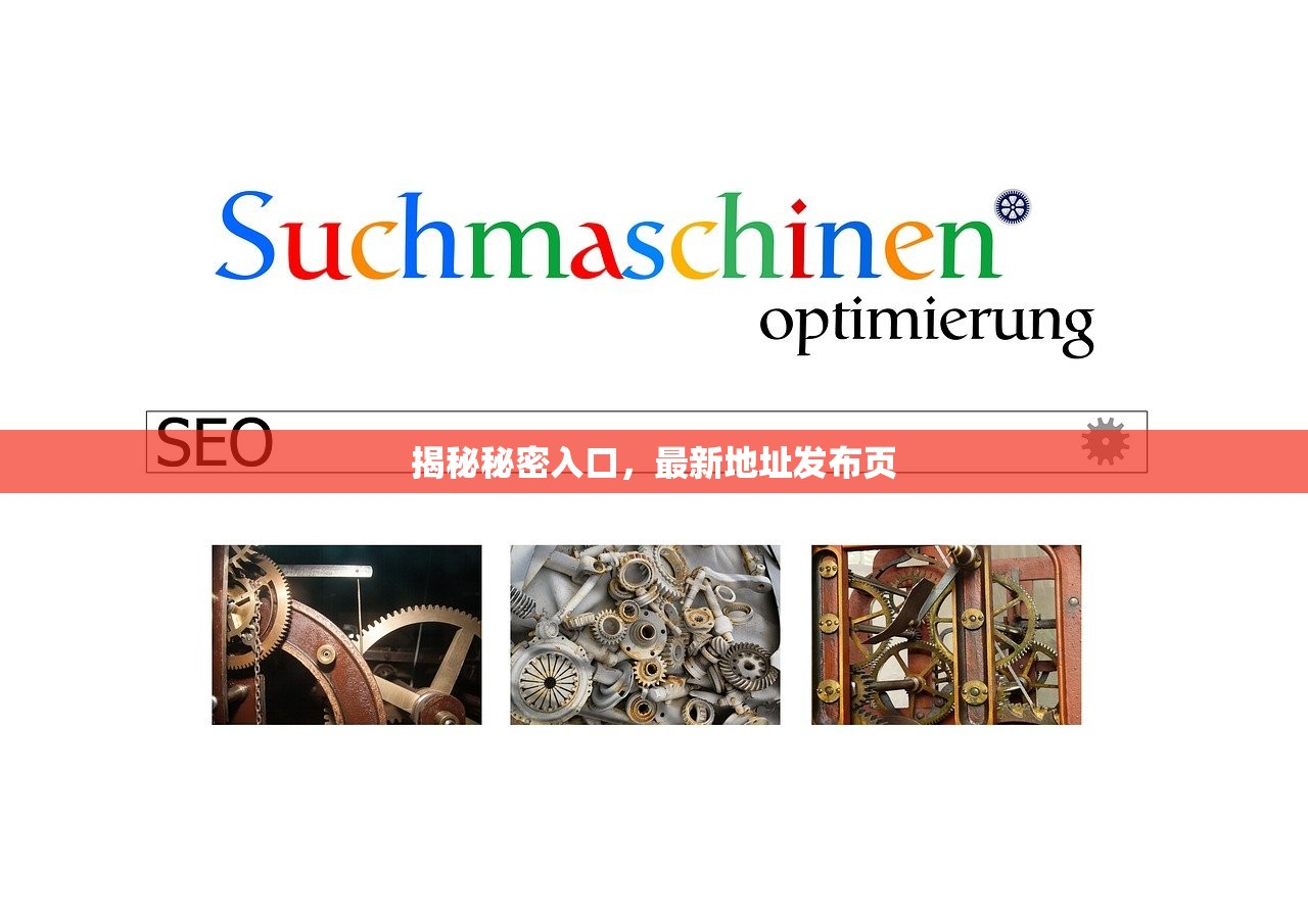 揭秘秘密入口，最新地址发布页