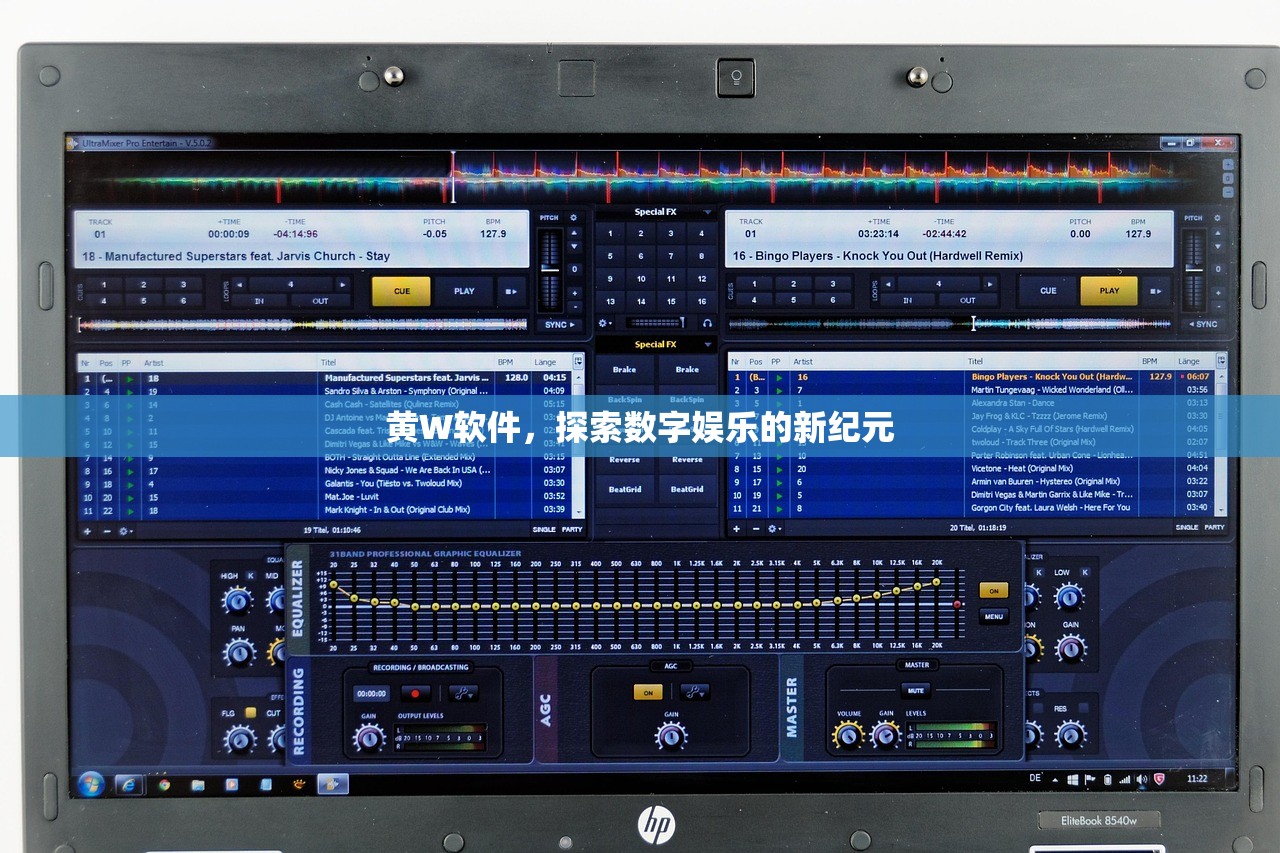 黄W软件，探索数字娱乐的新纪元